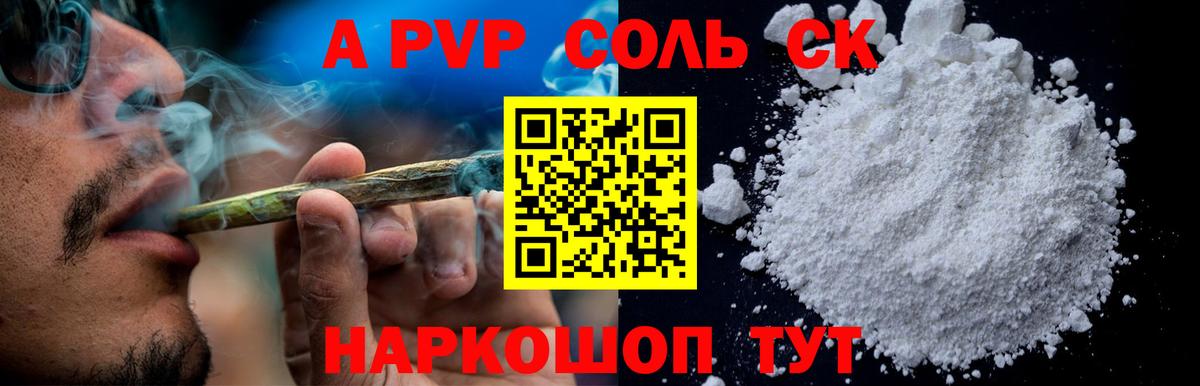 Альфа ПВП СК Грозный