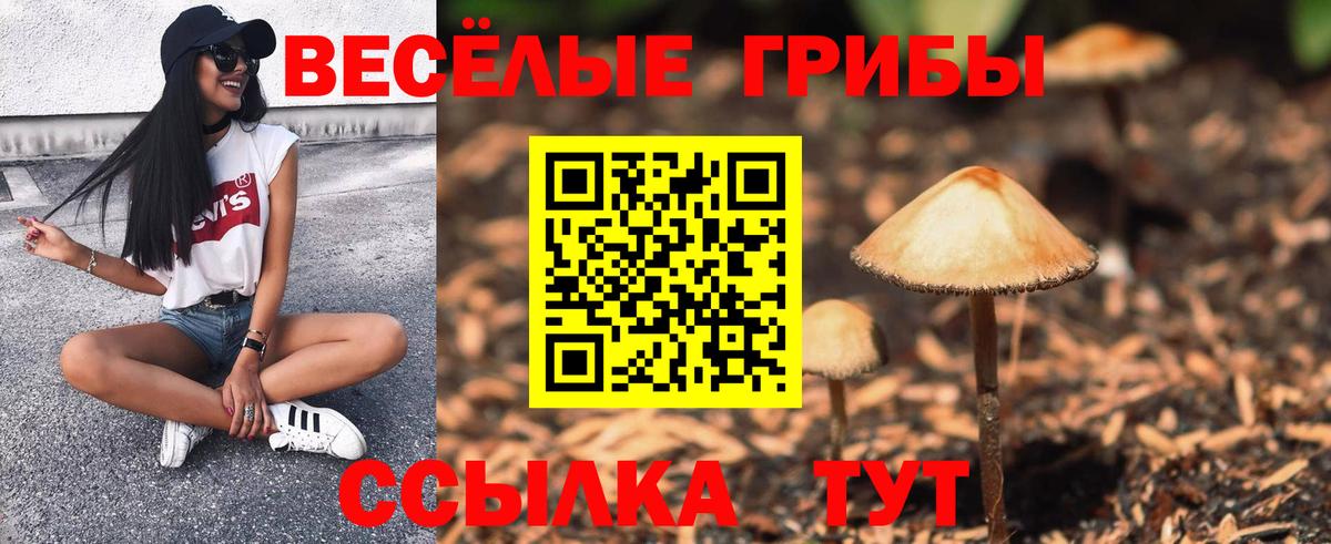 Псилоцибиновые грибы ЛСД  Вход с VPN  Грозный 